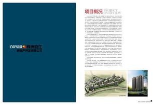 視覺敘事 八大行業(yè)趨勢(shì)與實(shí)踐指南